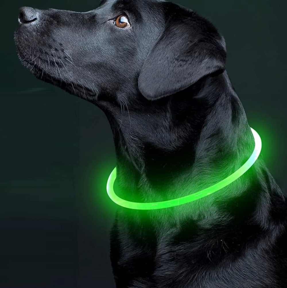✨ 4/$15 Pink Light Up Dog Collar